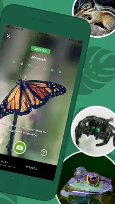 Seek by iNaturalist 2
