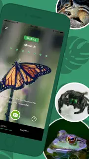 Seek by iNaturalist screenshot 2