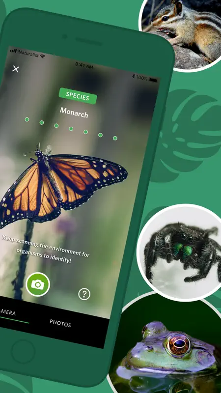 Seek by iNaturalist screenshot 2 of 6