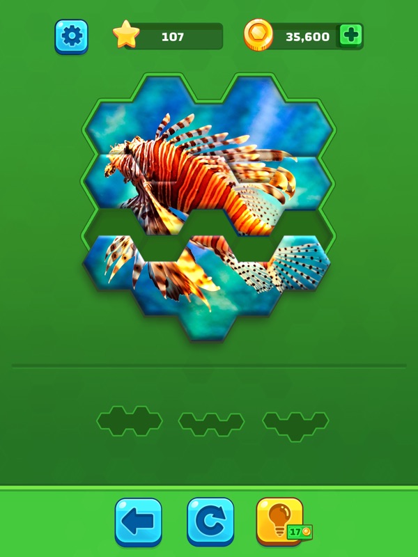 Hexa Jigsaw Puzzle ® screenshot 11
