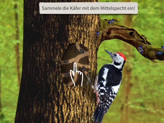 Screenshot #5 pour Villewälder