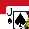 Monte Carlo Classic Solitaire App Feedback