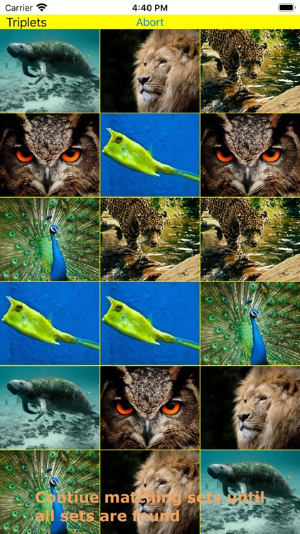 AnimalSets screenshot-4