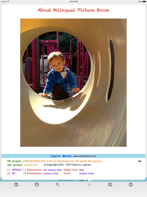 Bilingual Beginners Book screenshot-4