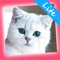 Cute Kittens - Easy Puzzle is a great puzzle, memory аnd logic training game
