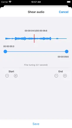 Grace Audio iPhone image 3