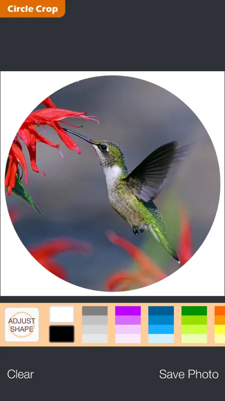 Circle Crop screenshot 1 of 2