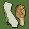 California WC Mushroom Forager