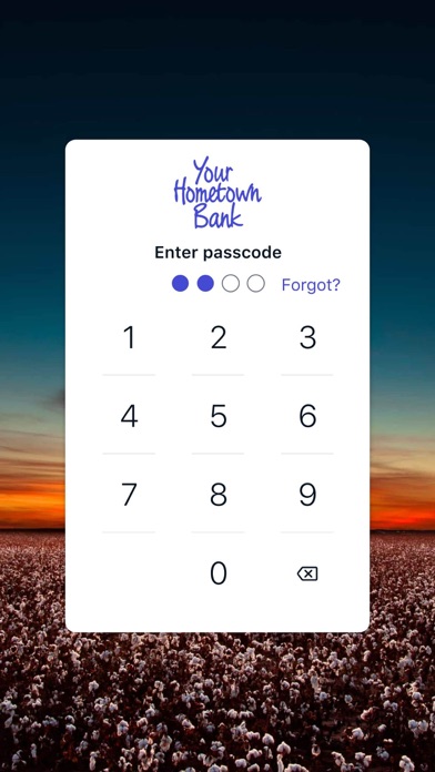 yourhometownbank Screenshot