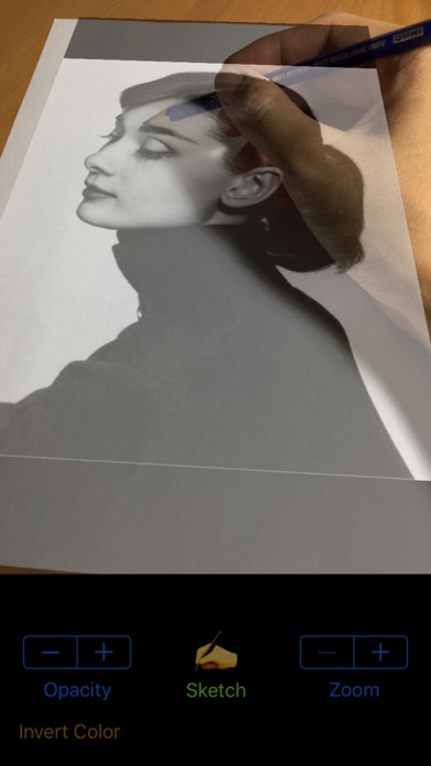 Vermeer's Lens: AR Drawing