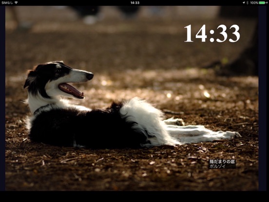 瞬間 - Time of dogs.のおすすめ画像5