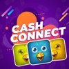 Cash Connect - Flow Birds