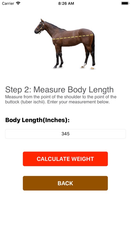 Horse Weight Estimation