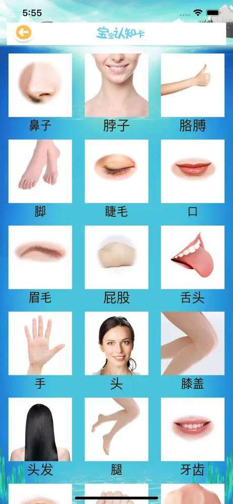 儿童画画 动画片故事大全