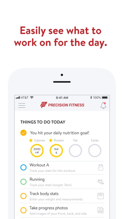 Precision Fitness Online