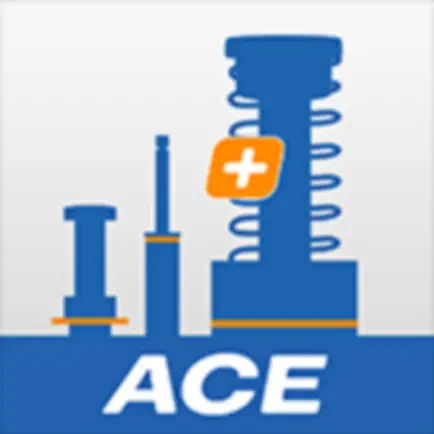 ACE Business Park Читы