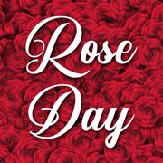 Rose Day Stickers!