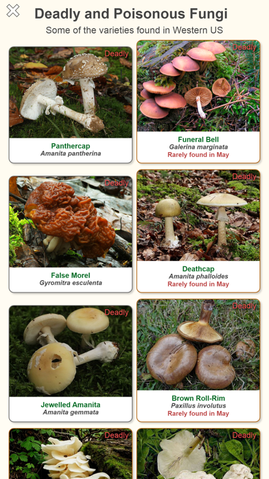 Shroomify - Mushroom ID USA Screenshot