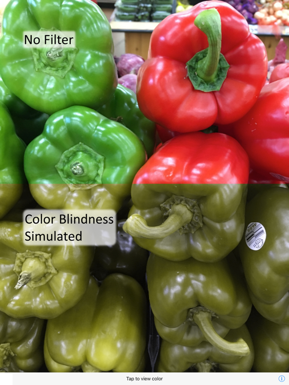 Color Blindness AR Solution iPad screenshot 1 - Medical app