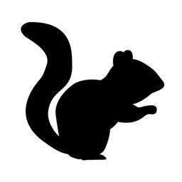 リスクサポート