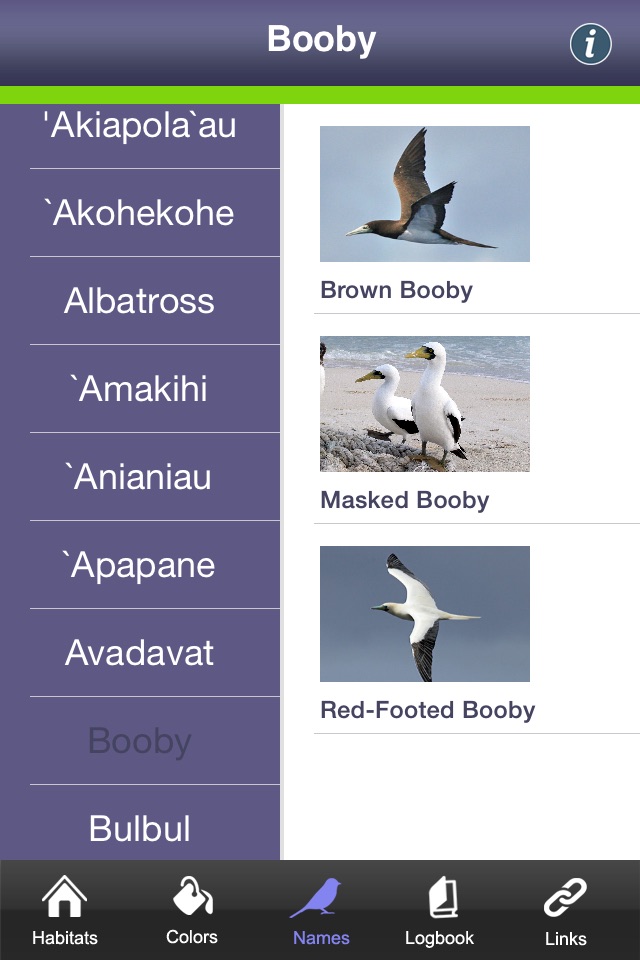 Bird ID Hawaii screenshot 4