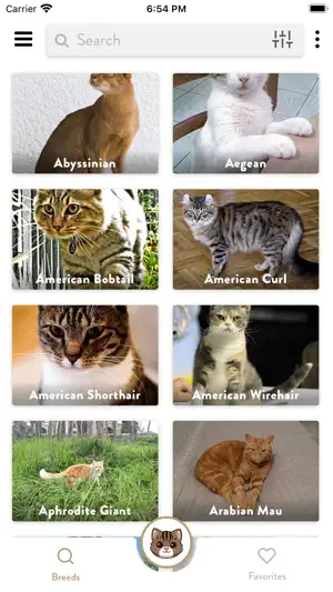 Cat Breed Scanner — CatsPedia screenshot 1