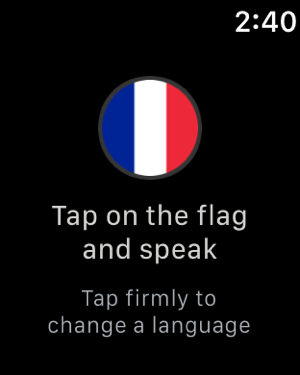 ‎Language Translator by Mate Screenshot