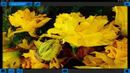 Game screenshot Imagelys Picture Lab Mobile mod apk