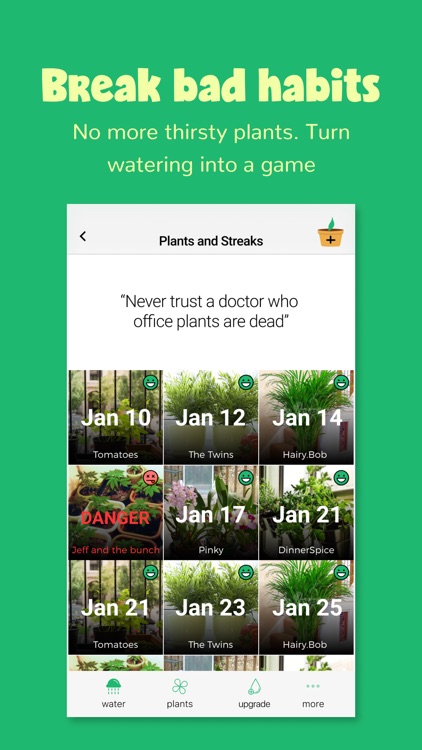 Happy Plant - No Water Thirst