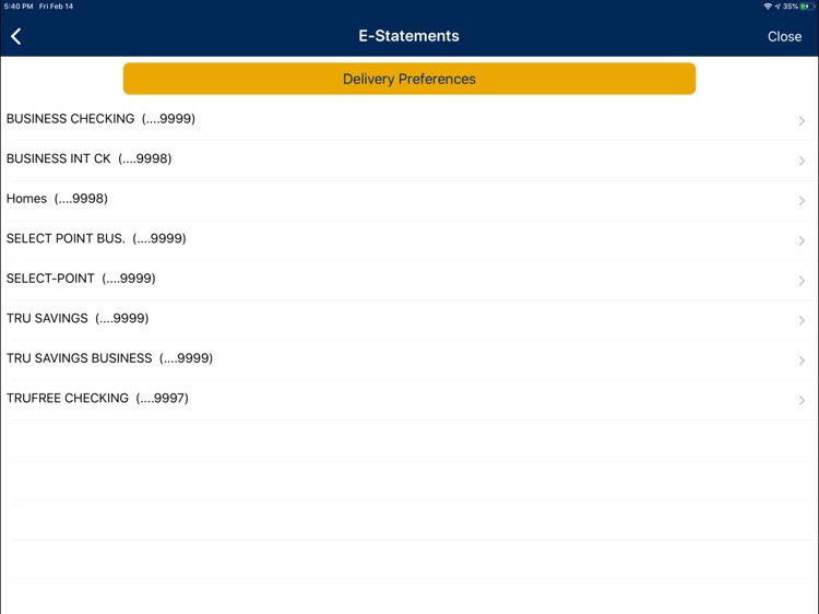 TruPoint Bank Biz for iPad