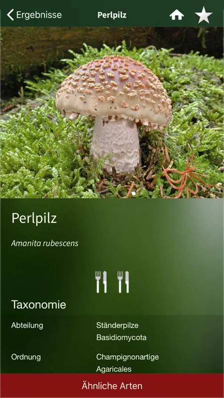 PilzSnap - Pilze sammeln! screenshot 6 of 10
