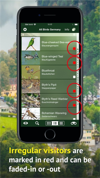All Birds Germany Screenshot