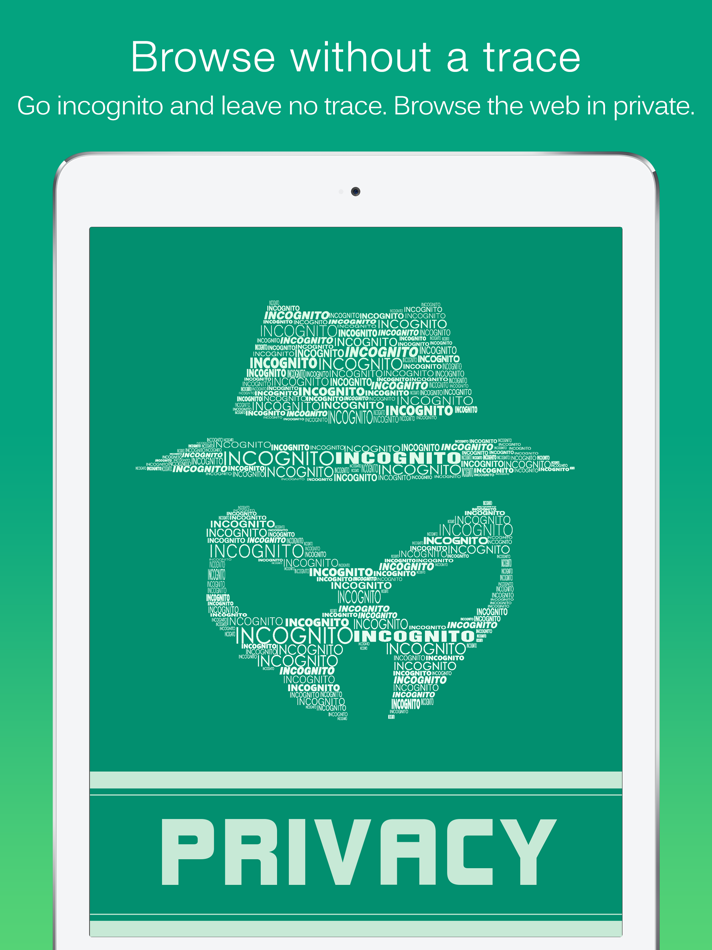 #4. Dolphin Web Browser for iPad (iOS) By: MoboTap Inc.