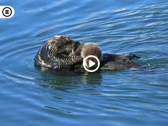 Screenshot #5 pour Living Planet