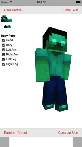 Game screenshot Create Skins For Minecraft apk