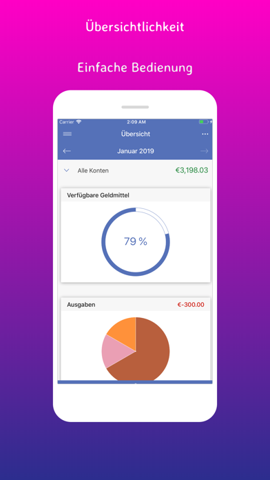 SayMoney Pro - Your finances Screenshot