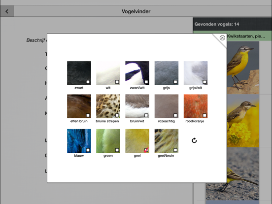 Vogels in Nederland Pro iPad app afbeelding 5