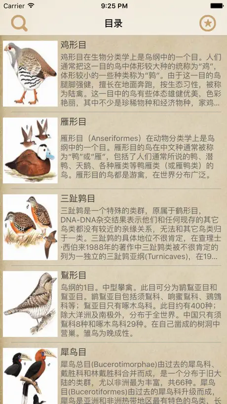 鸟类大全