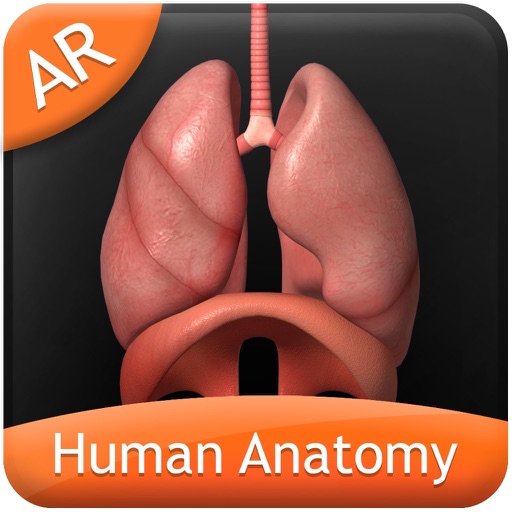 Human Anatomy for iPhone icon