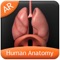Human Anatomy for iPhone