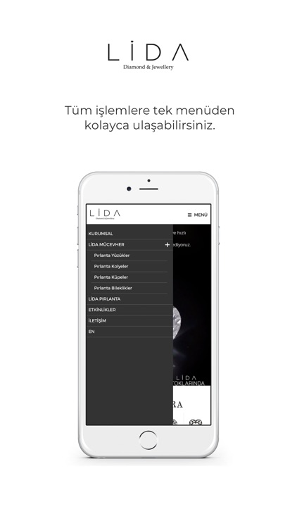 Lida Diamond screenshot-4