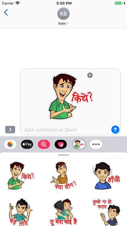 Delhi Boy Stickers Pack