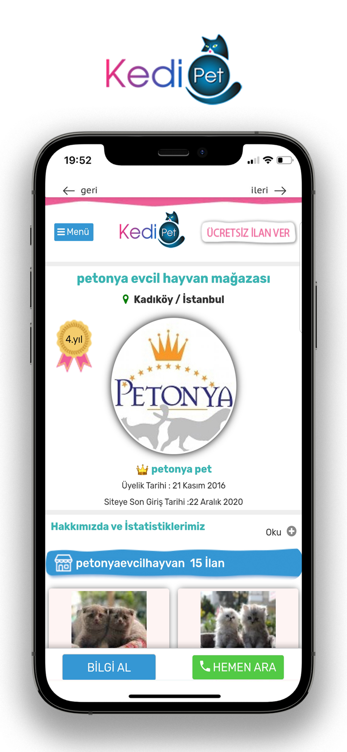 KEDiPET.COM Yavru Kedi ilanı