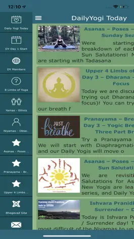 Game screenshot Daily Yogi apk