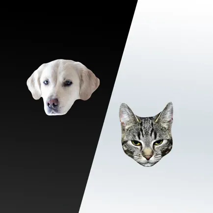 Кошки и Собаки - Стикеры Читы