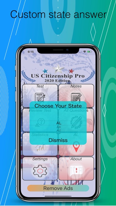 USA Citizenship Test 2024. Screenshot