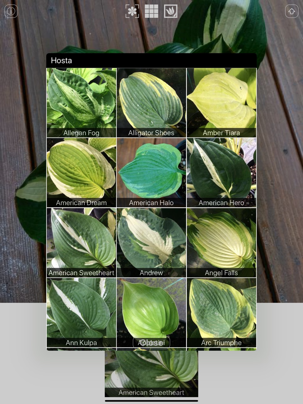 iPad screenshot