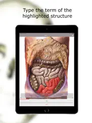 anatomie quiz lite ipad bildschirmfoto 4