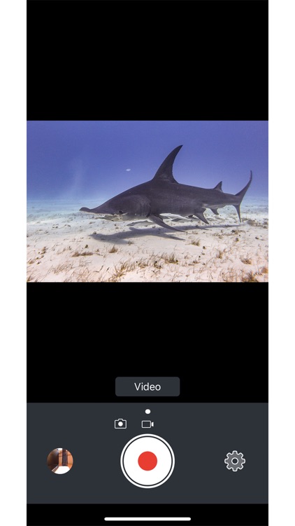 SeaLife Micro 3+ screenshot-7