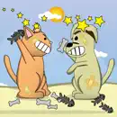 Cat vs. Dog